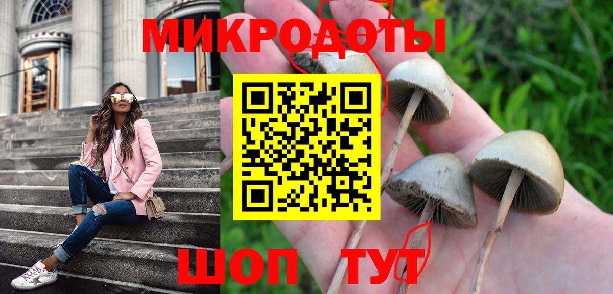 Каменск-Уральский  Псилоцибиновые грибы MAGIC MUSHROOMS  Вход с VPN 
